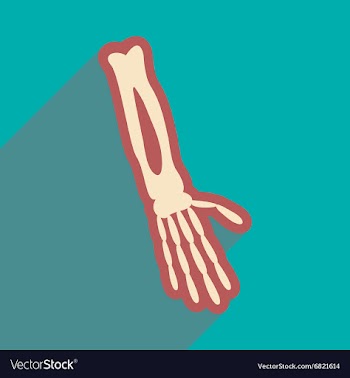 Flat icon with long shadow bones of human hand vector image