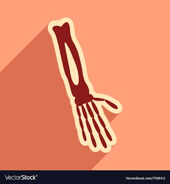 Flat icon with long shadow bones of human hand vector image
