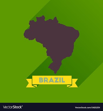Flat icon with long shadow Brazil map vector image