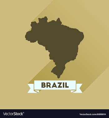Flat icon with long shadow Brazil map vector image