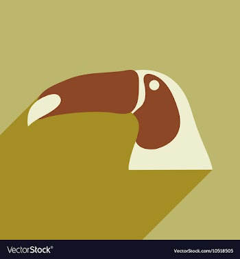 Flat icon with long shadow Brazilian toucan vector image