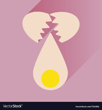 Flat icon with long shadow broken egg vector image