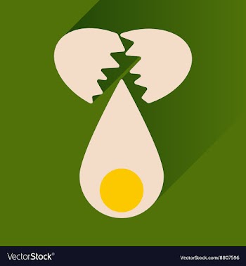 Flat icon with long shadow broken egg vector image