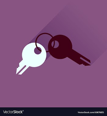 Flat icon with long shadow bunch of keys vector image