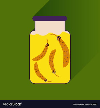 Flat icon with long shadow canned peas vector image