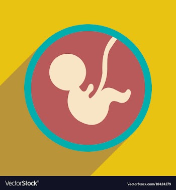 Flat icon with long shadow child in womb vector image