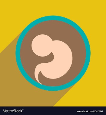 Flat icon with long shadow child in womb vector image