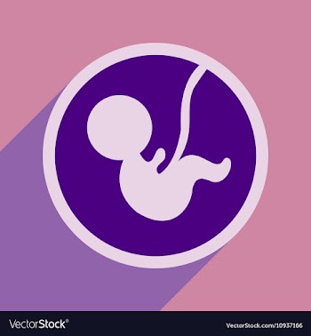 Flat icon with long shadow child in womb vector image