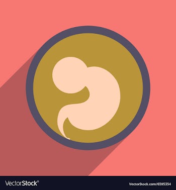 Flat icon with long shadow child in womb vector image