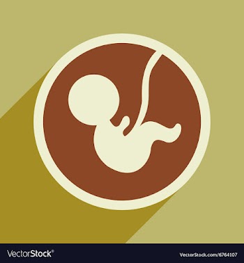 Flat icon with long shadow child in womb vector image