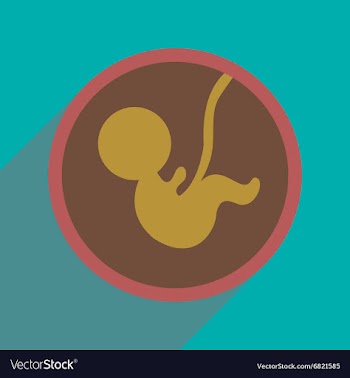 Flat icon with long shadow child in womb vector image