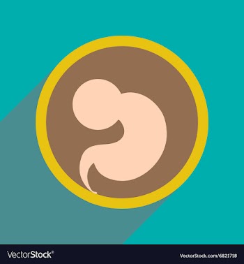 Flat icon with long shadow child in womb vector image