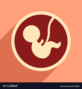 Flat icon with long shadow child in womb vector image