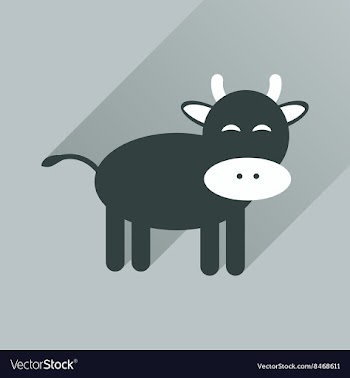 Flat icon with long shadow cow calf vector image