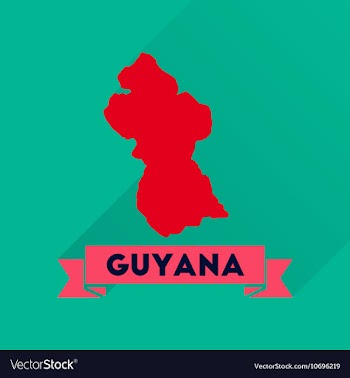 Flat icon with long shadow Guyana map vector image