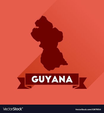 Flat icon with long shadow Guyana map vector image