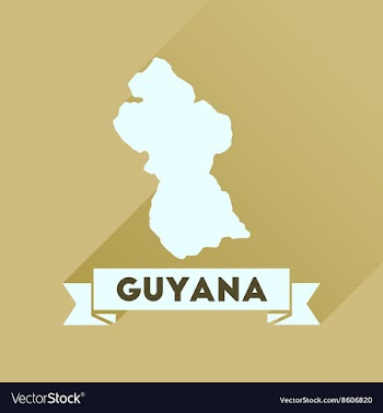 Flat icon with long shadow Guyana map vector image