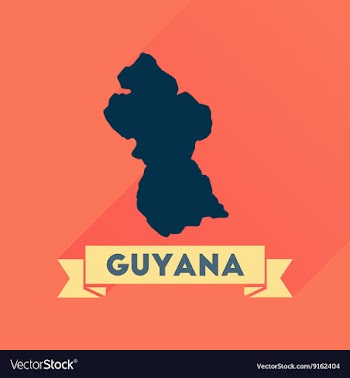 Flat icon with long shadow Guyana map vector image