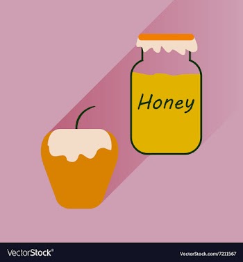Flat icon with long shadow honey and apple vector image