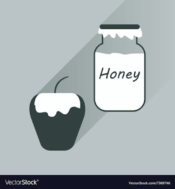Flat icon with long shadow honey and apple vector image