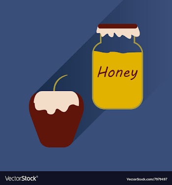 Flat icon with long shadow honey and apple vector image