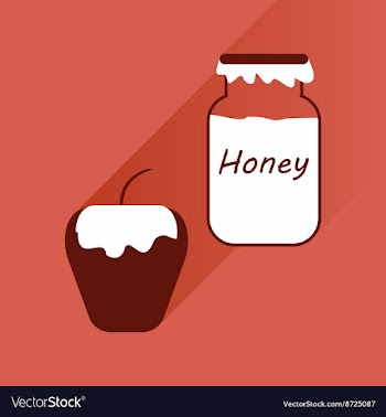 Flat icon with long shadow honey and apple vector image