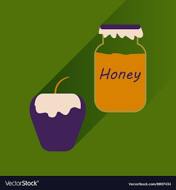 Flat icon with long shadow honey and apple vector image