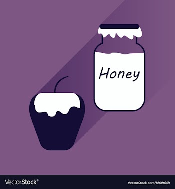 Flat icon with long shadow honey and apple vector image