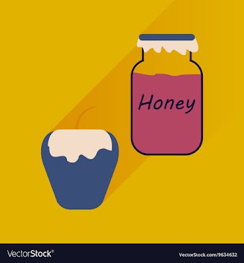 Flat icon with long shadow honey and apple vector image