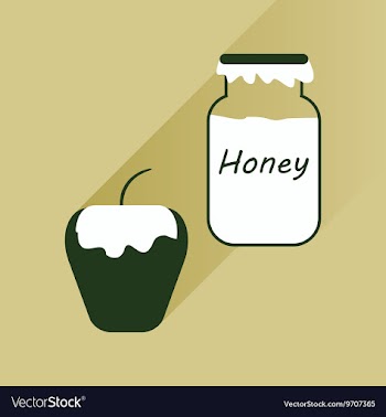 Flat icon with long shadow honey and apple vector image
