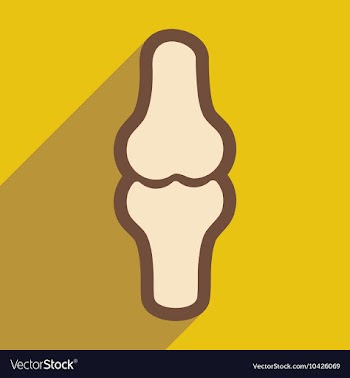 Flat icon with long shadow human bone vector image
