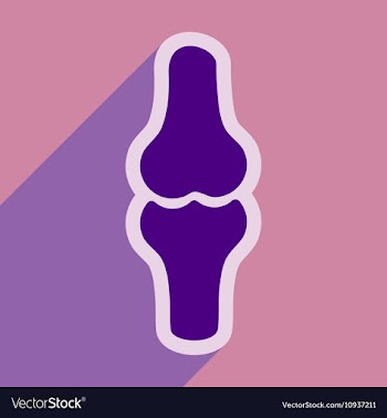 Flat icon with long shadow human bone vector image