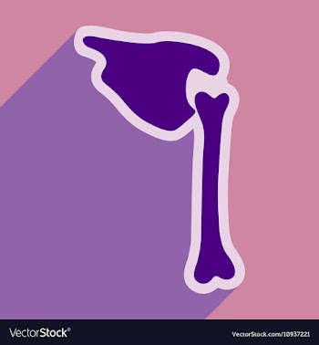 Flat icon with long shadow human bone vector image