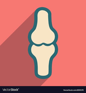 Flat icon with long shadow human bone vector image