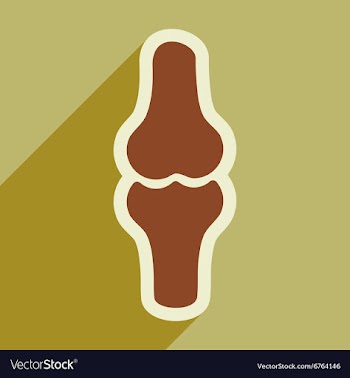Flat icon with long shadow human bone vector image
