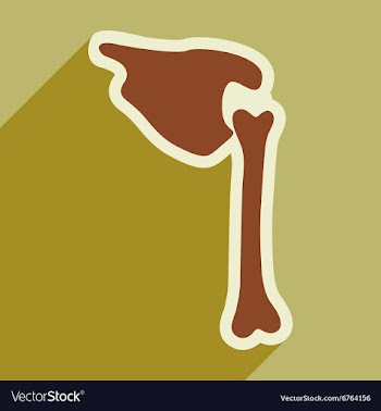 Flat icon with long shadow human bone vector image