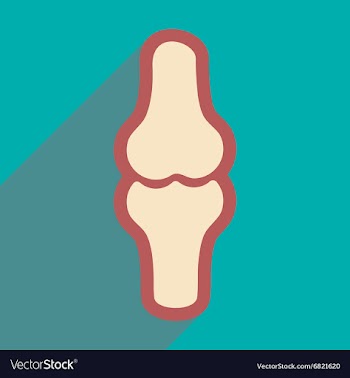 Flat icon with long shadow human bone vector image