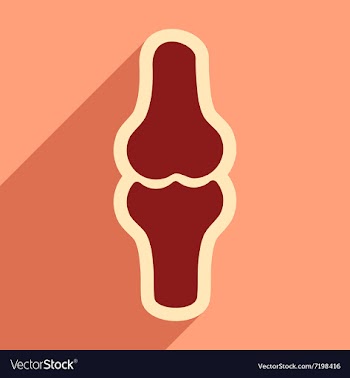 Flat icon with long shadow human bone vector image
