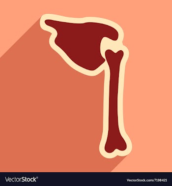 Flat icon with long shadow human bone vector image