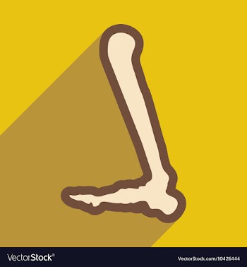 Flat icon with long shadow Human leg bone vector image