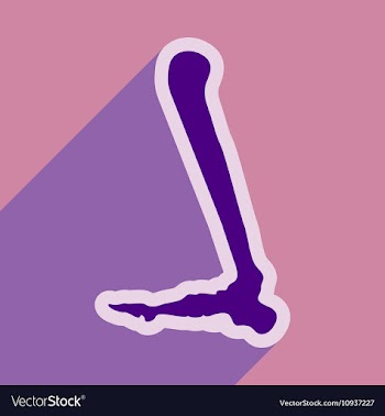 Flat icon with long shadow Human leg bone vector image