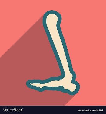 Flat icon with long shadow Human leg bone vector image