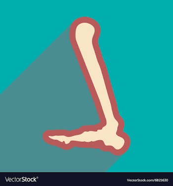 Flat icon with long shadow Human leg bone vector image