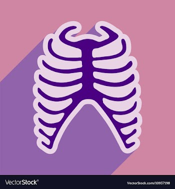 Flat icon with long shadow human rib vector image