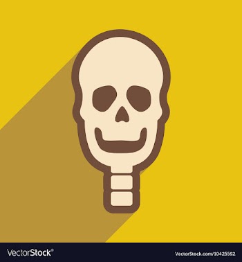 Flat icon with long shadow human skull vector image