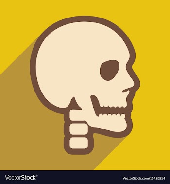 Flat icon with long shadow human skull vector image