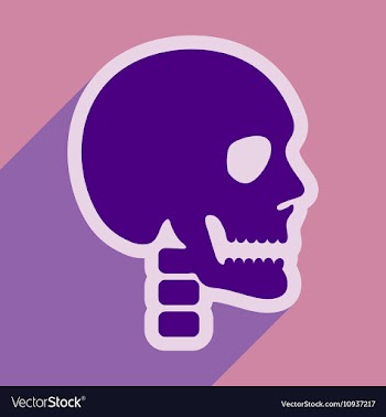 Flat icon with long shadow human skull vector image