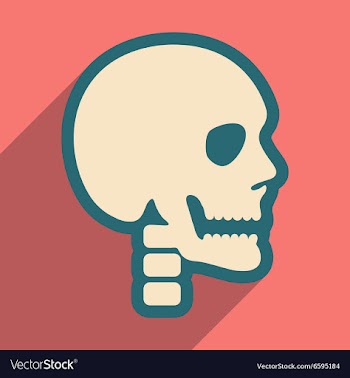 Flat icon with long shadow human skull vector image
