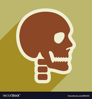 Flat icon with long shadow human skull vector image