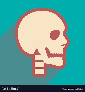 Flat icon with long shadow human skull vector image